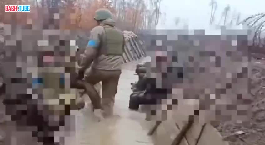  «Вода по колено. Всё гниёт. Нет брони, нет связи. Направление Волчанск...»