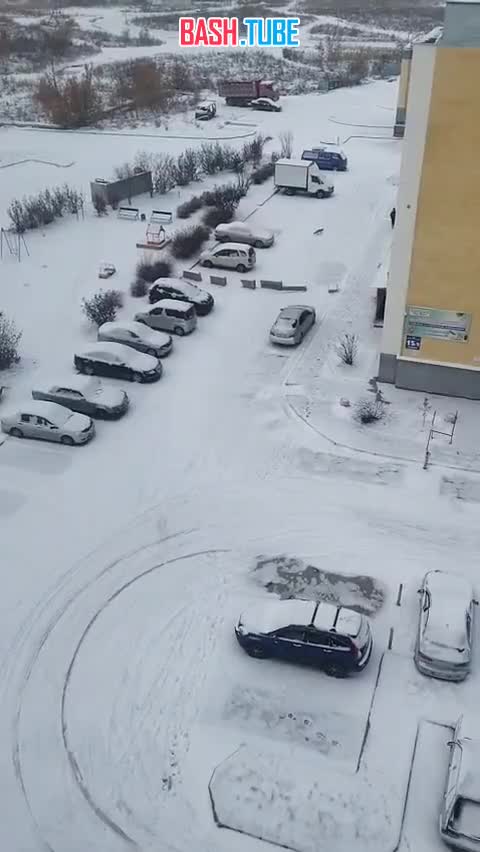  В Новосибирске лиса кидалась на девушку во дворе жилого дома: страшные кадры снял очевидец