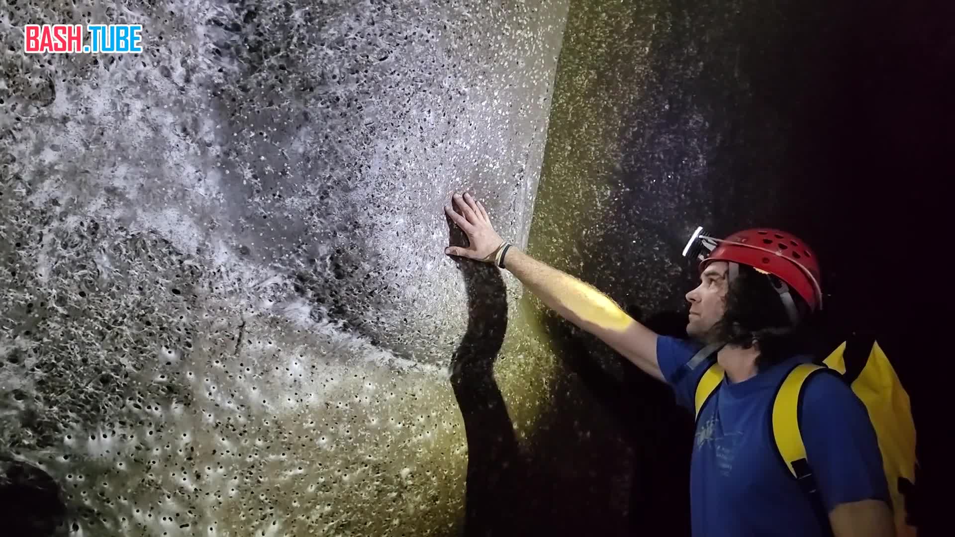  Крупнейшую в мире паутину с населением 111 000 пауков нашли в пещере на границе Албании и Греции