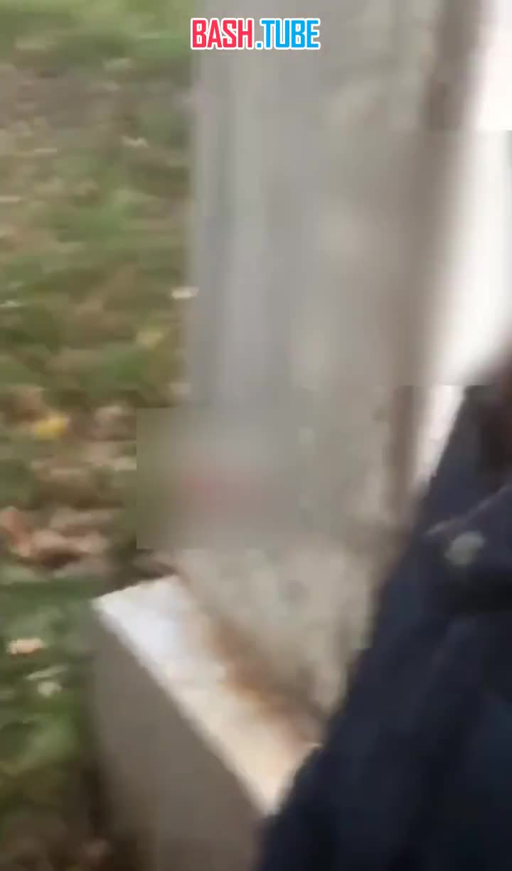  8-летний мальчик оторвал голубю голову, чтобы не делиться крупой