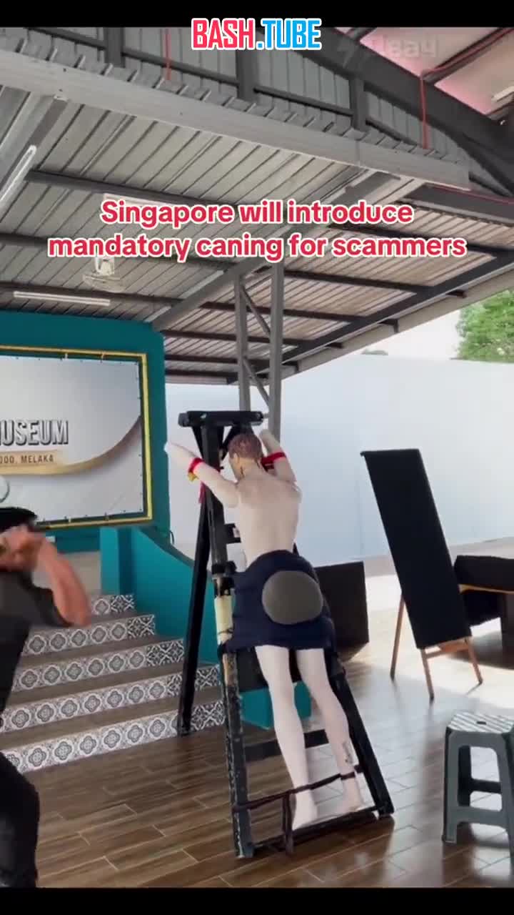  Онлайн-мошенников будут пороть розгами