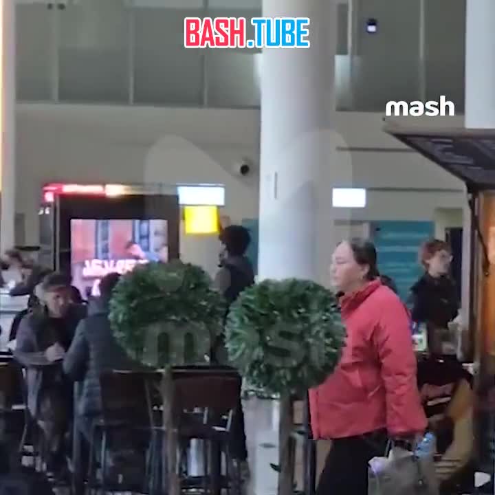  Лариса Гузеева устроила скандал в аэропорту Тбилиси из-за мест в бизнес-классе