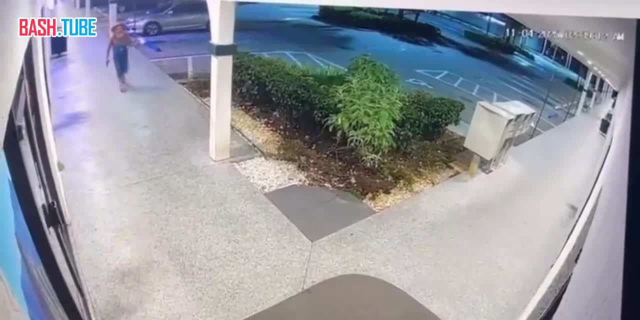  Пьяный фермер устроил стрельбу из-за спора о куриных яйцах во Флориде