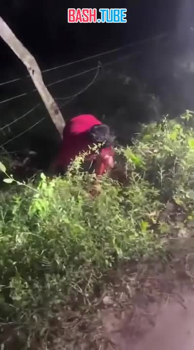  В Мексике подросток без спроса взял байк у отца и попал в страшное ДТП: школьнику оторвало лицо