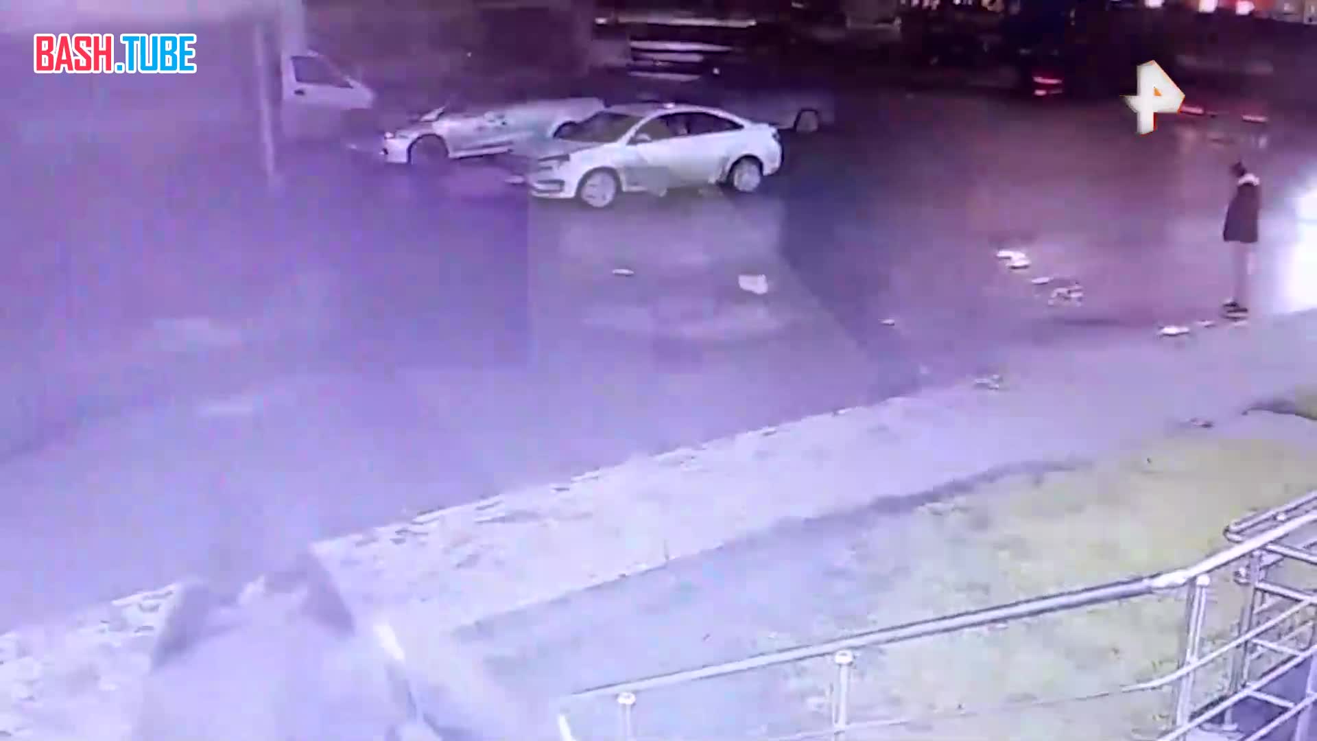  Водитель переехал беременную собаку в Тюмени - самка выжила, но потеряла пять щенков