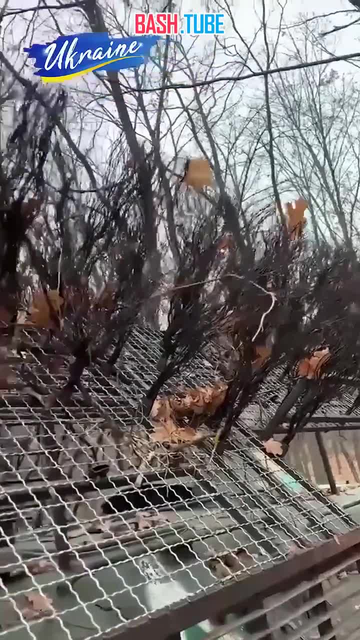  ВСУ стали копировать российскую защиту от дронов, устанавливая ее на боевую технику