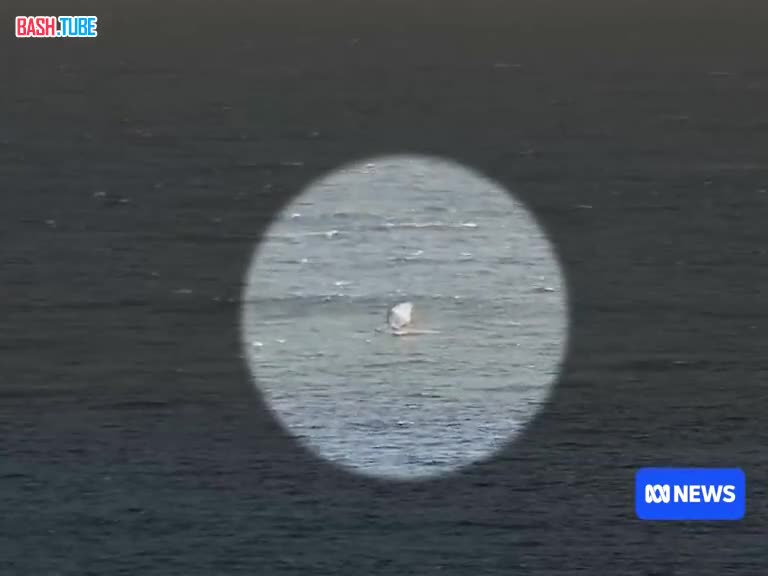  Австралийский сёрфер выжил после схватки с акулой-людоедом, пострадала только его доска - хищник откусил кусок