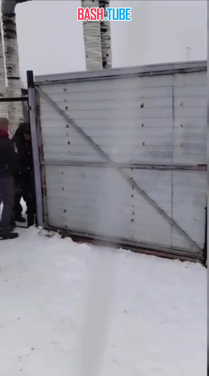  В Хабаровске зоозащитники пытались взять штурмом приют и избили сотрудника