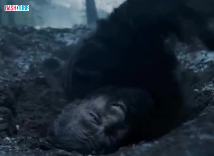  В Госдуме предложили разрешить работать во время больничного