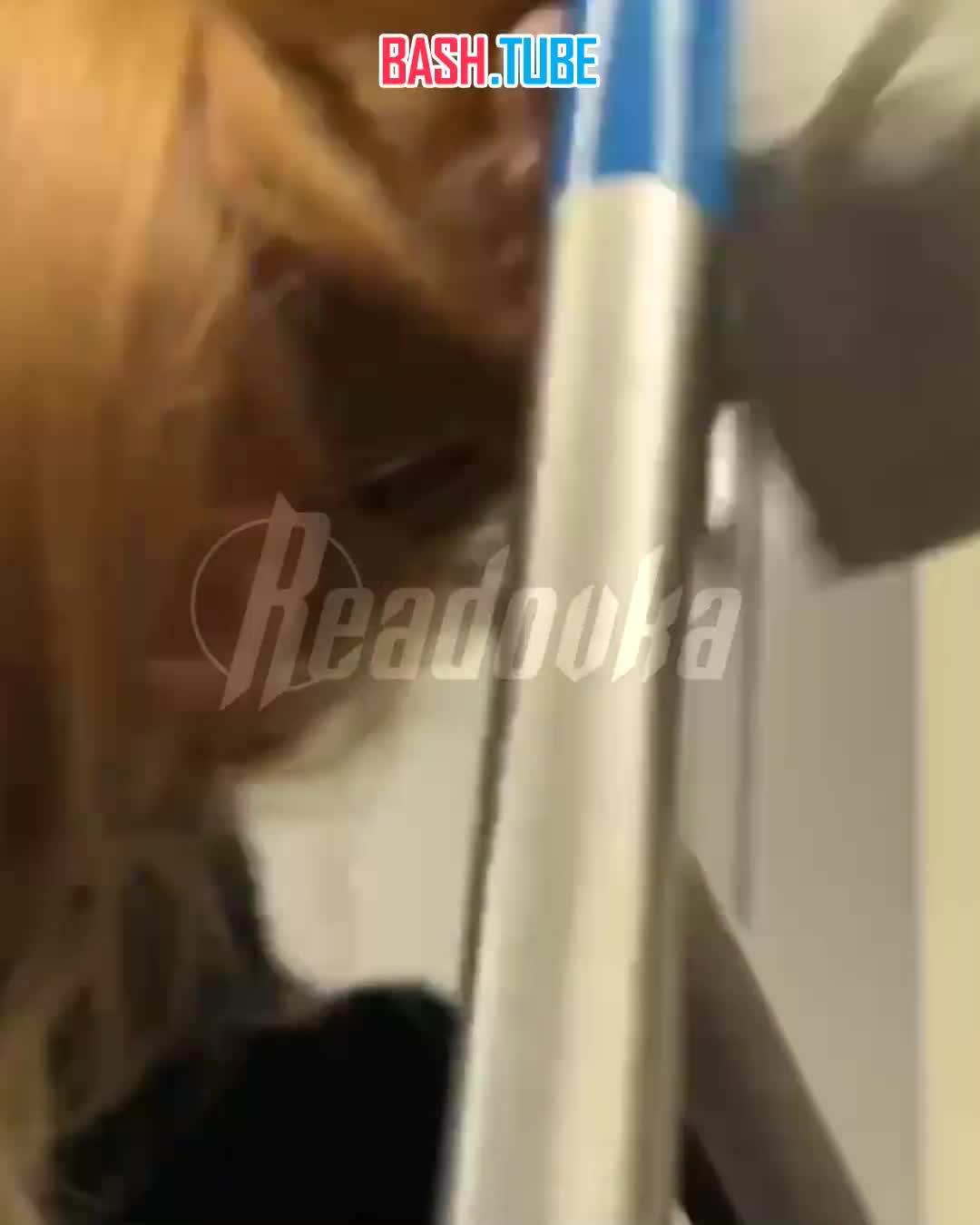  Женщина ударила головой о поручень девушку в московском метро - ей не уступили место