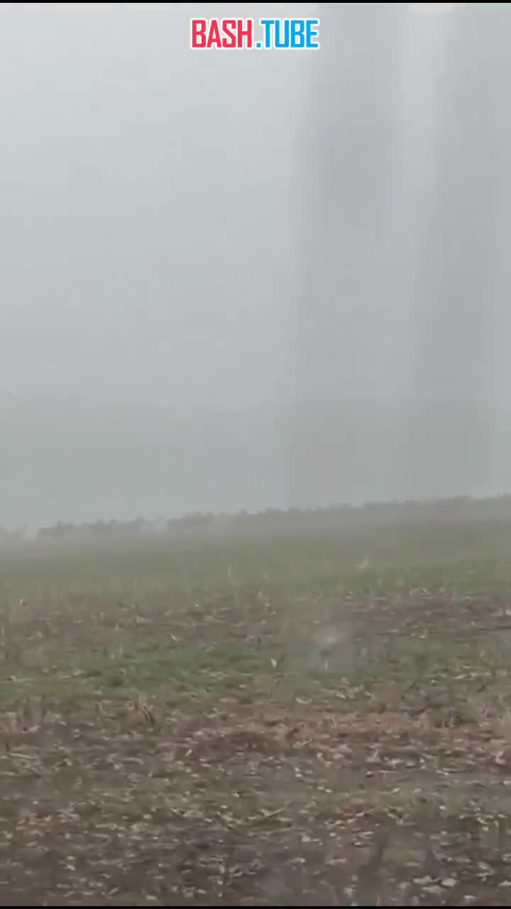  Пробег оленей перекрыл автодорогу в Германии