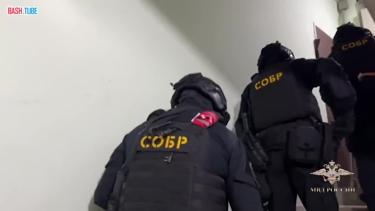  В Москве задержали 11 человек за нелегальную продажу сильнодействующих препаратов