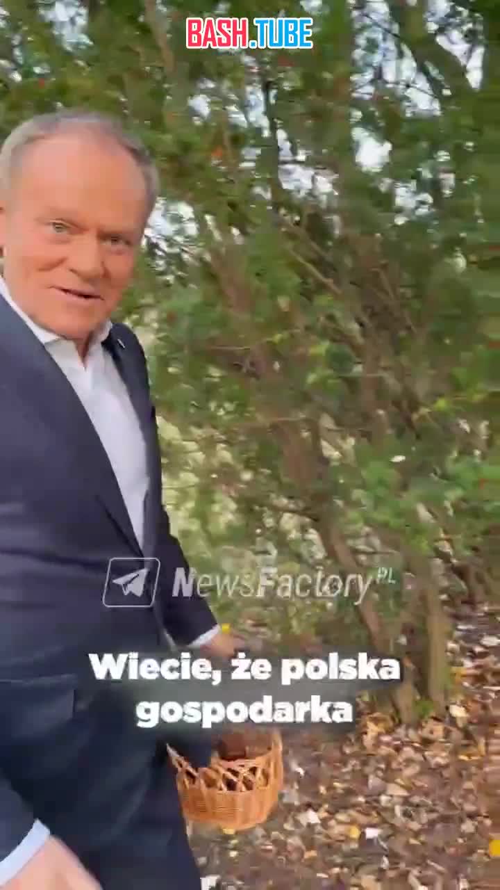  Премьер Польши Дональд Туск находится под градом критики в соцсетях после того, как выложил видео своего похода за грибами