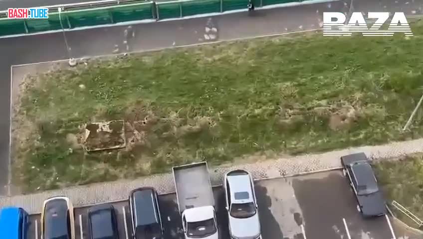  Крысиное королевство обнаружено в Подмосковье. Там грызуны построили свой город в одном из дворов