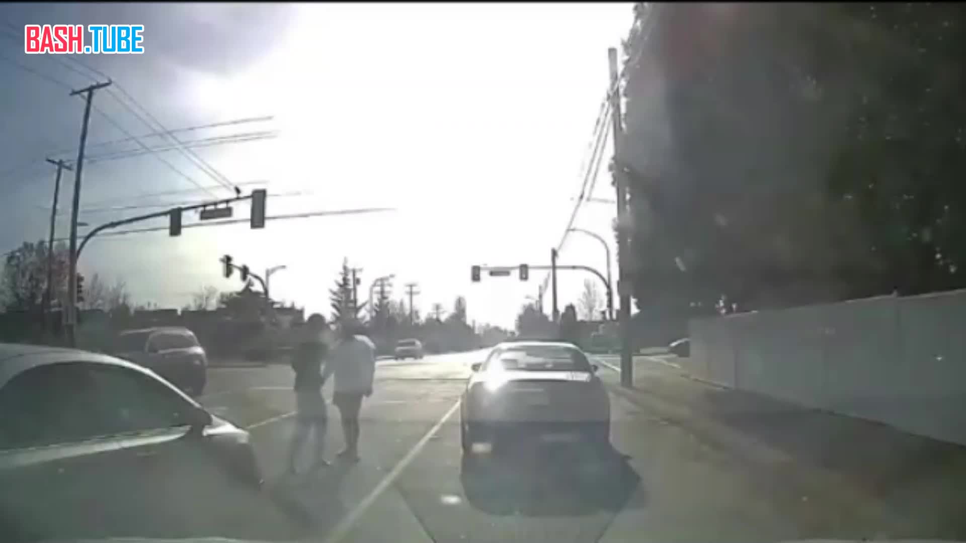  В Канаде водитель-неудачник сначала получил по морде, после чего пытался отомстить и нелепо перевернулся на авто