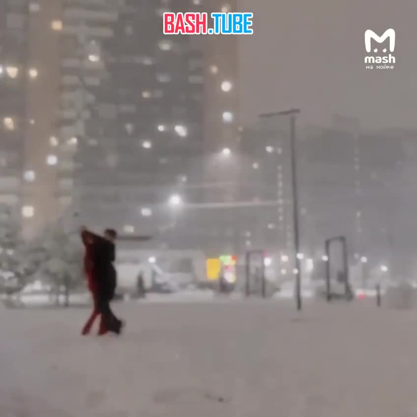  Снежная ночка побудила весь Питер на творчество