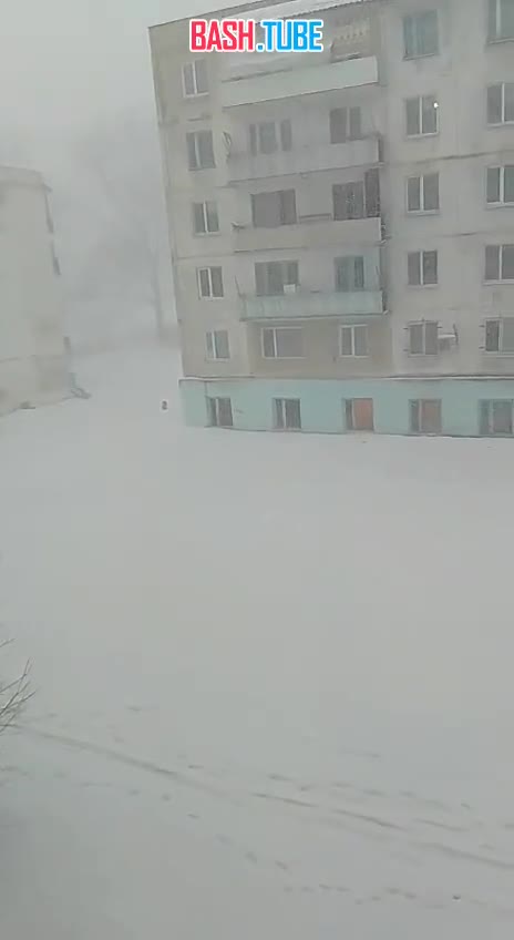  Приморье утонуло в снегу. Метели парализовали движение, на федеральных трассах - нулевая видимость