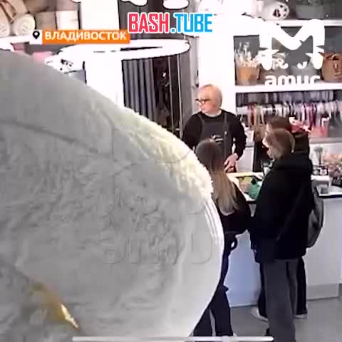  Во Владивостоке женщина устроила погром в цветочном магазине