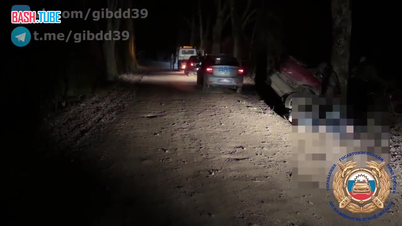  Двое 50-летних пассажиров погибли после того, как машину смяло о дерево в Калининградской области