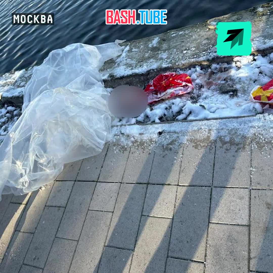  На востоке Москвы нашли останки ребёнка