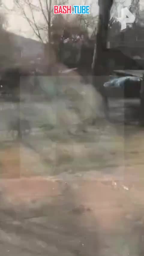  Кабан и сторож сошлись в «корриде» возле приморской школы