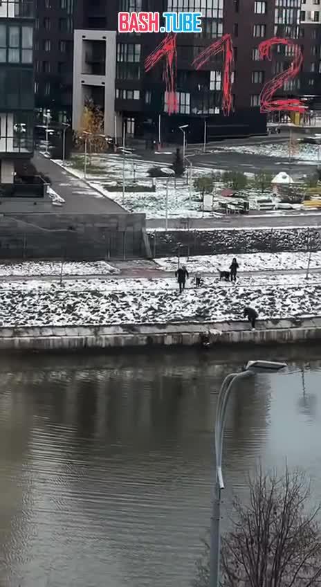  В Петербурге спасли маленькую девочку из Матисова канала