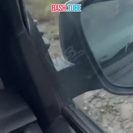  Пассажирский автобус рухнул с горы после ДТП в эквадорских Андах - по меньшей мере 13 человек погибли