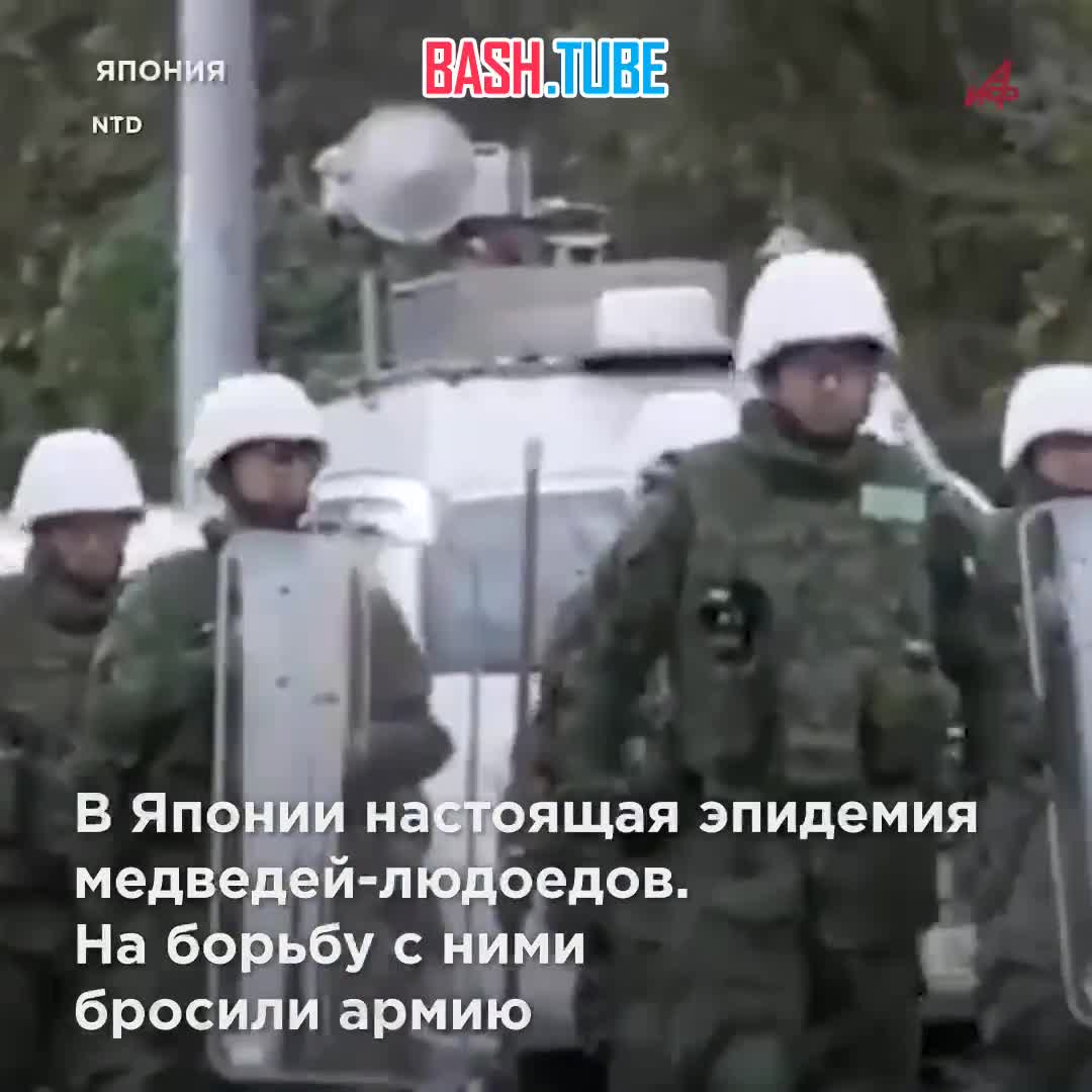  Эпидемия медведей-людоедов: армия Японии борется с хищниками, а жителям продают бункеры