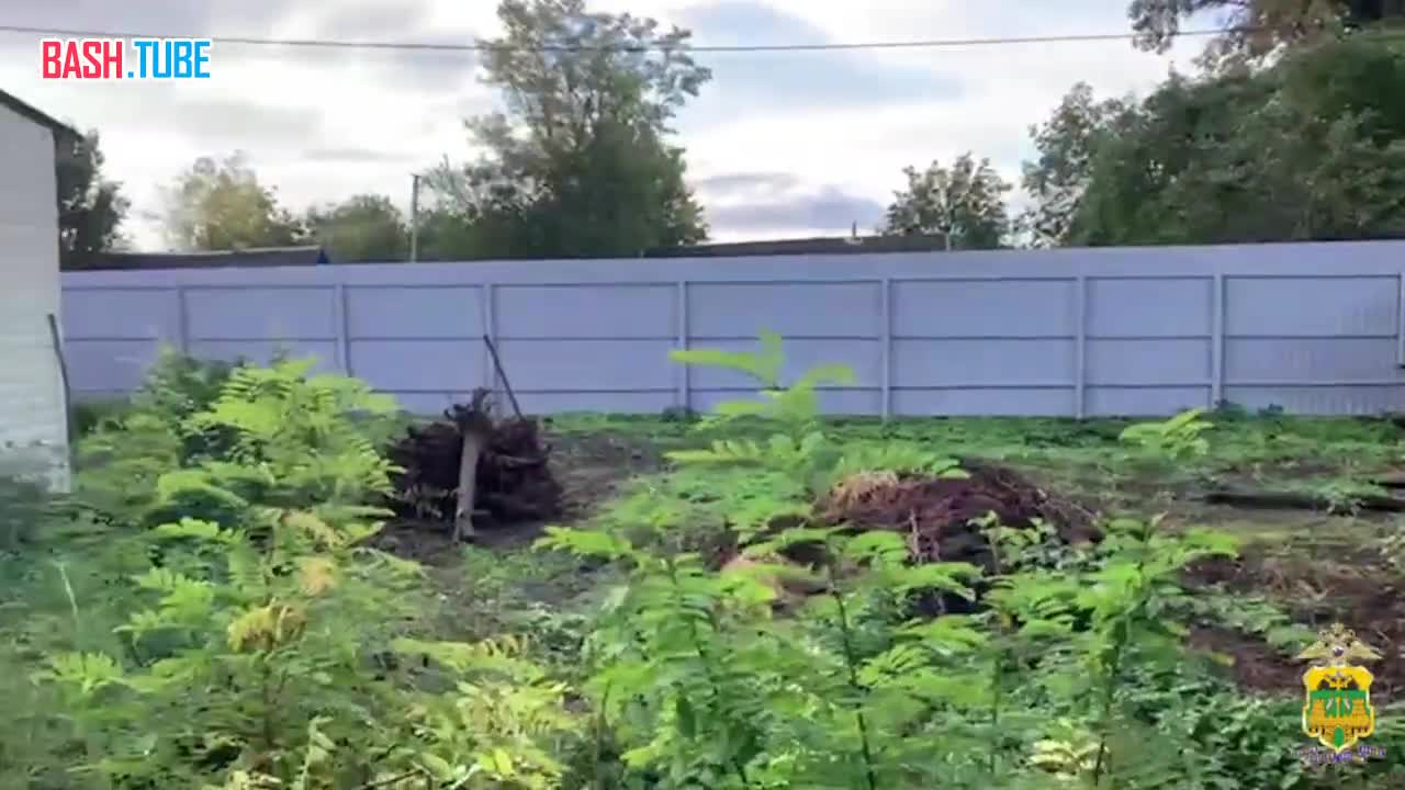  Кубанский пенсионер переоборудовал свой сарай в «нарко-кладовку»