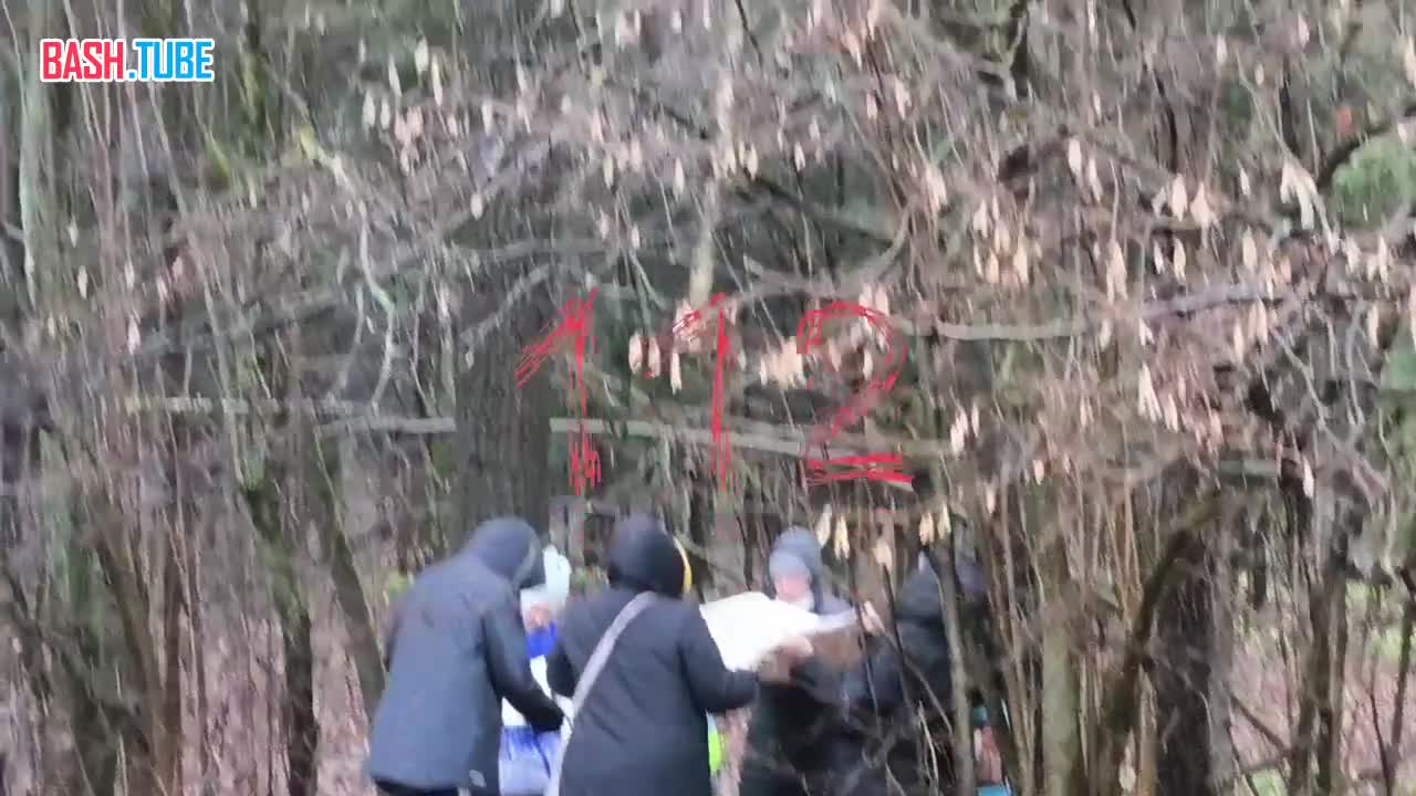  В Новой Москве спасли кота с дерева. Он просидел там почти неделю