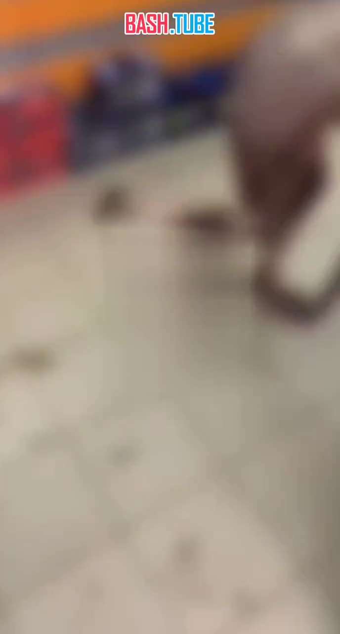  В Уфе грязная и обнаженная девушка наведалась в один из магазинов автозапчастей