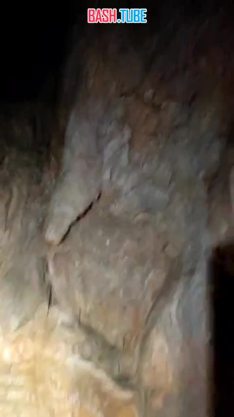  Поиски семьи, пропавшей в сентябре в Красноярском крае, продолжают спасатели