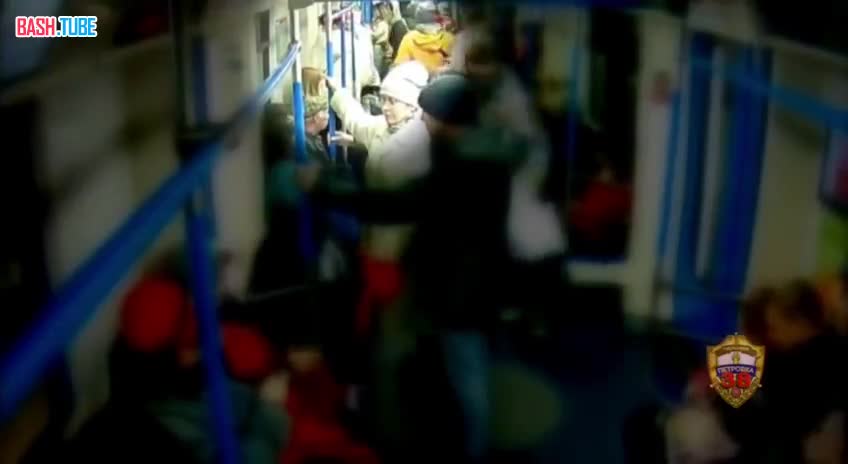  Пожилую дебоширку, оттаскавшую за волосы и ударившую о поручень пассажирку московского метро, задержали