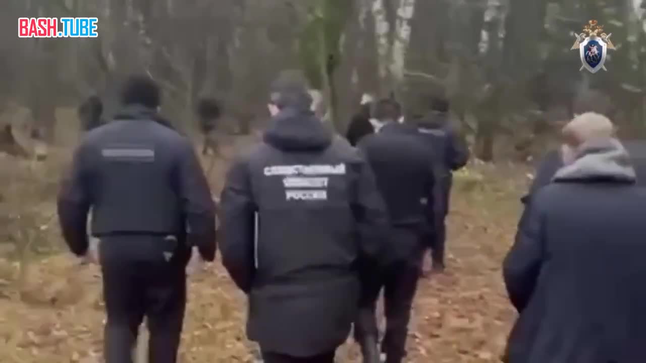  Сбежавшая сожительница помогла раскрыть жуткие преступления в подмосковном СНТ, - СК РФ