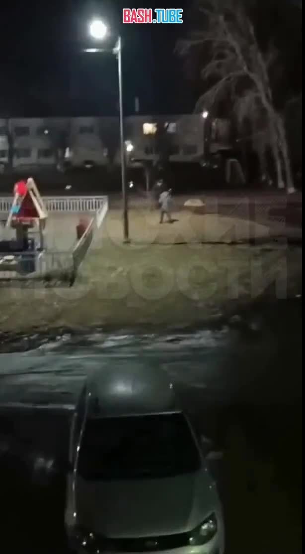  В Екатеринбурге полицейский на глазах детей застрелил огромного алабая, который нападал на местных жителей