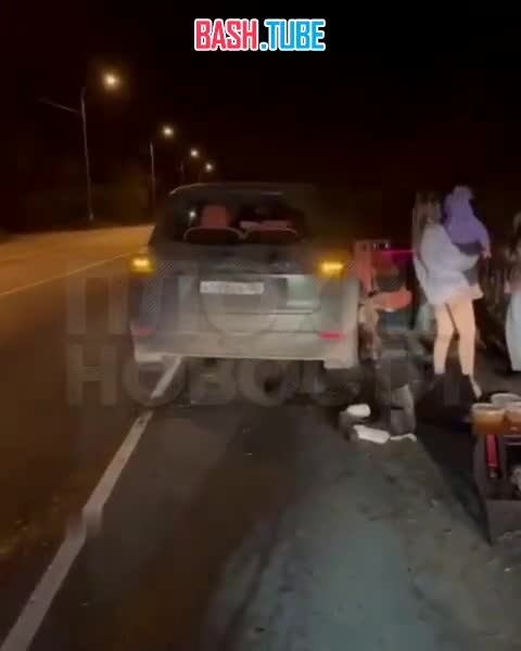  В Подмосковье лось пробил люк у автомобиля и погиб в салоне