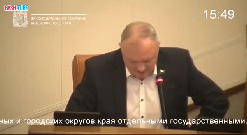  В Красноярске депутат предложил гнать бездомных псов на минные поля СВО