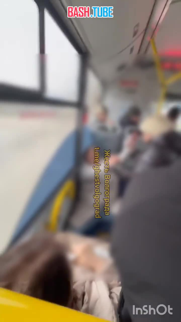  Драка пожилых женщин случилась в волгоградском автобусе