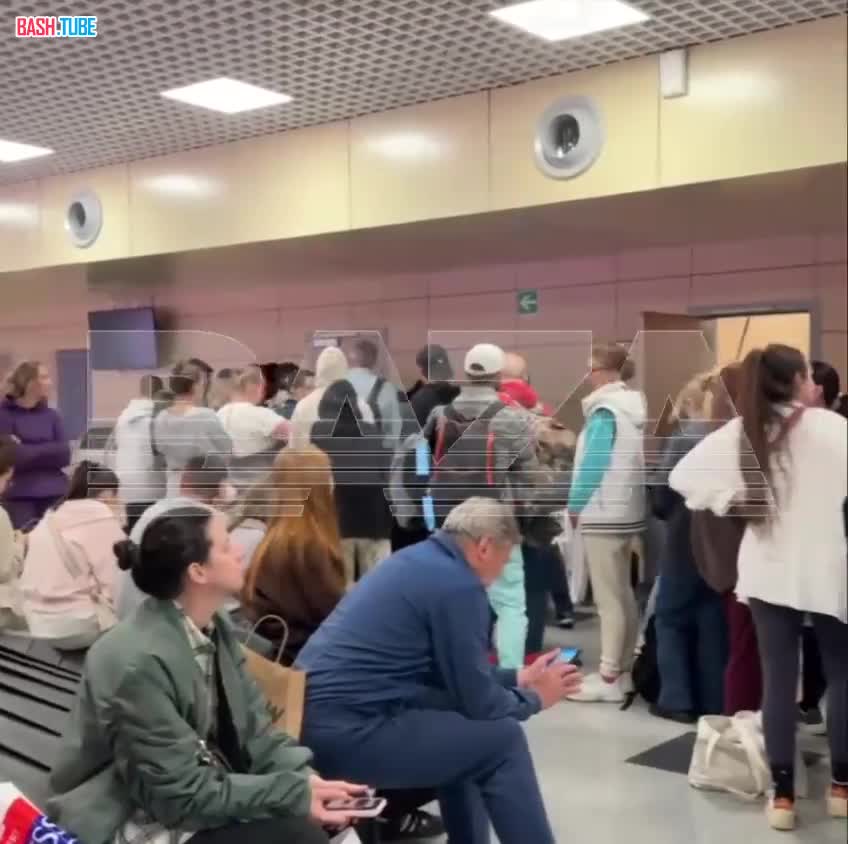  Больше 300 пассажиров несколько часов ждут свой багаж в аэропорту Домодедово