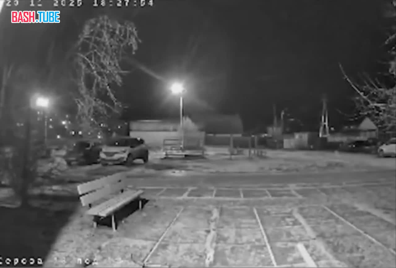  Разъяренный дворовый алабай набросился на мальчика в Свердловской области