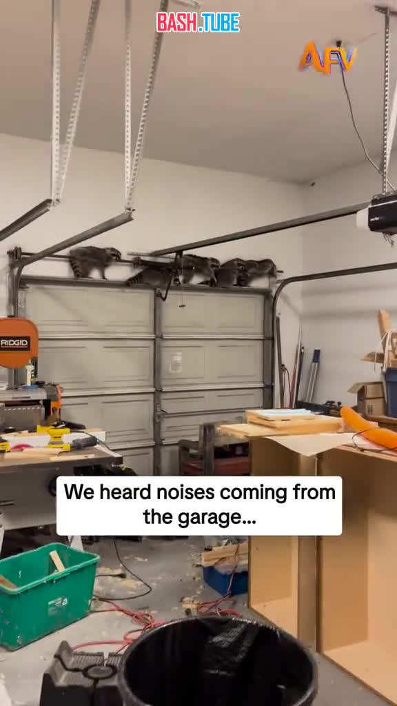  Жители США услышали странный шум из гаража и решили проверить