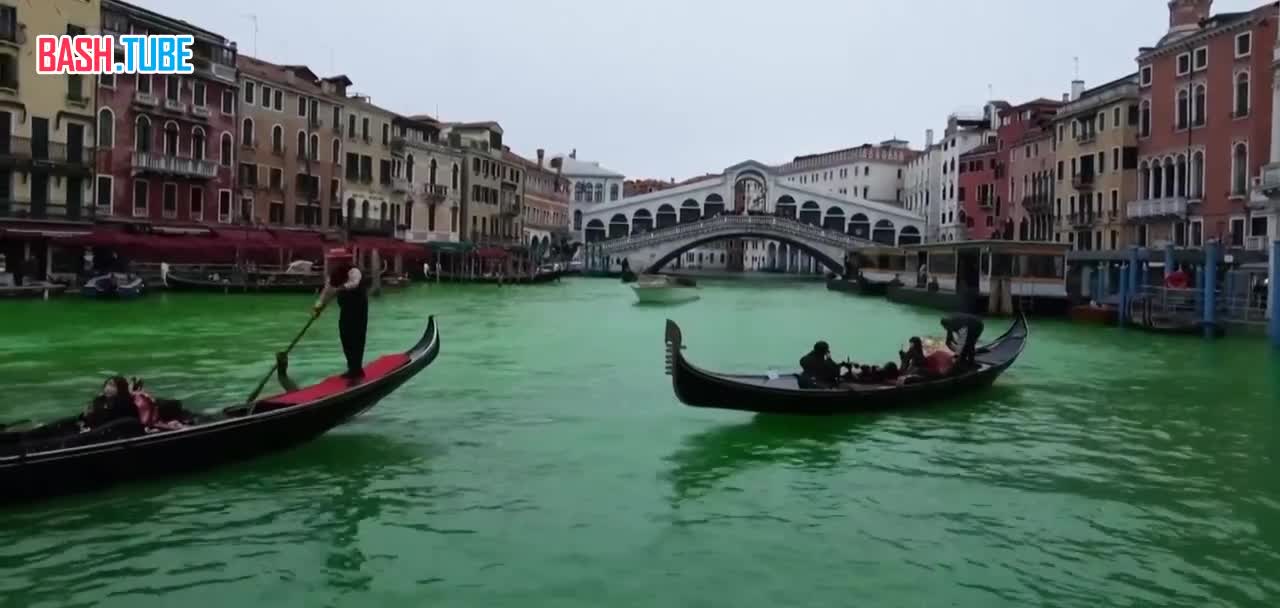  Экоактивисты окрасили воду в Гранд-канале Венеции в ярко-зеленый цвет - в акции участвовала Грета Тунберг, - ANSA