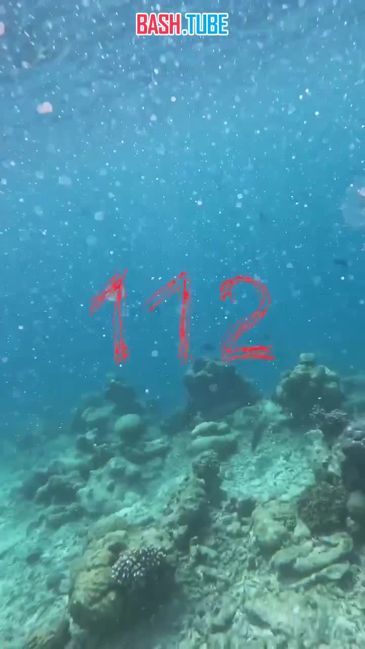  Безжалостное нападение на россиянина произошло на Мальдивах