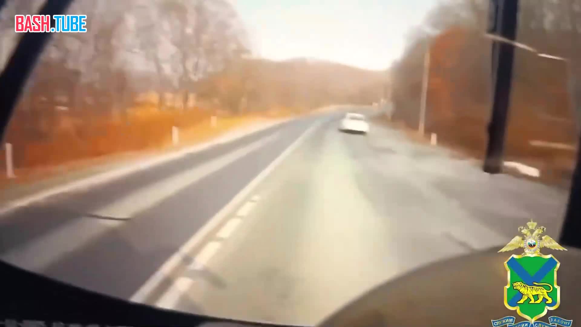  Женщина погибла в ДТП с автобусом на трассе «Артём - Находка», сообщает МВД Приморья