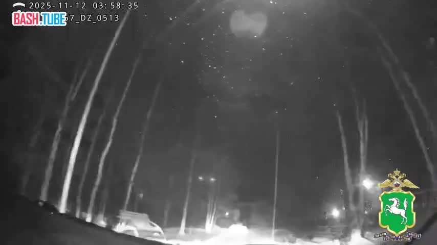  В Томской области лихач без прав протащил инспектора ДПС, пытавшегося его задержать, на двери автомобиля