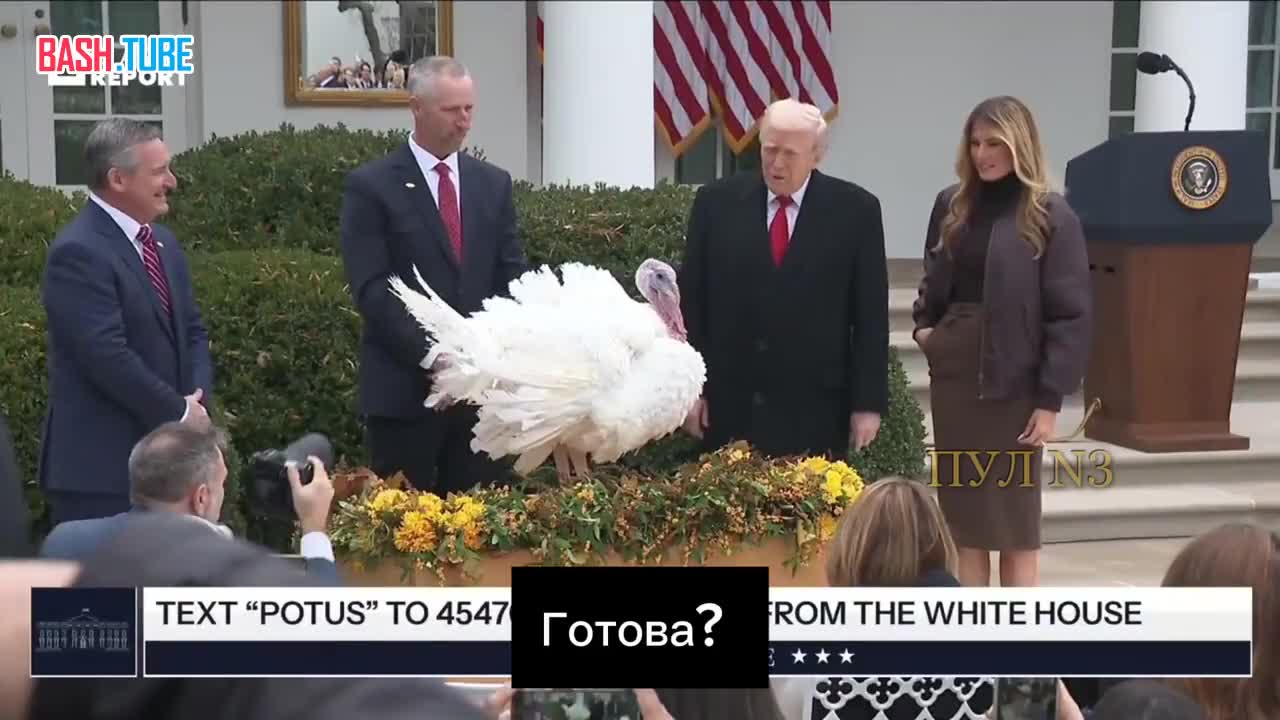  «Готова? Я просто хотел сказать тебе, что ты безусловно помилована!»