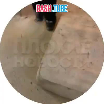  В Свердловской области студенты сняли особняк с бассейном и разнесли его во время вечеринки