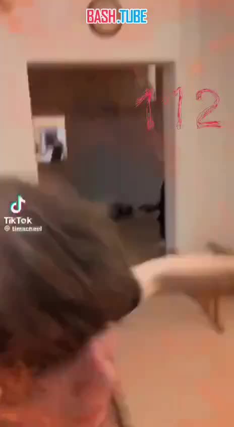  Зумеры разнесли арендованный для вечеринки дом в Свердловской области