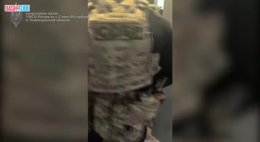  В Ленобласти похитили 40 млн рублей, выделенных на восстановление лесничества Минобороны