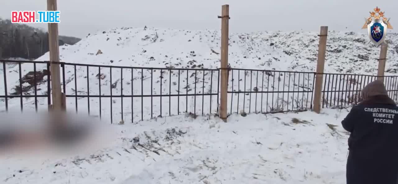  В Братске на мусорном полигоне нашли тело человека с телесными повреждениями, схожими с укусами собак